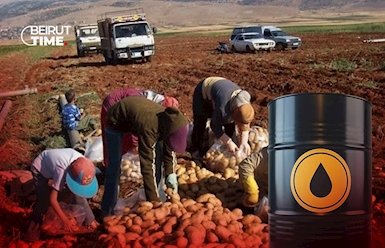 بين النفط والأسمدة...  الأمن الغذائي على المحك