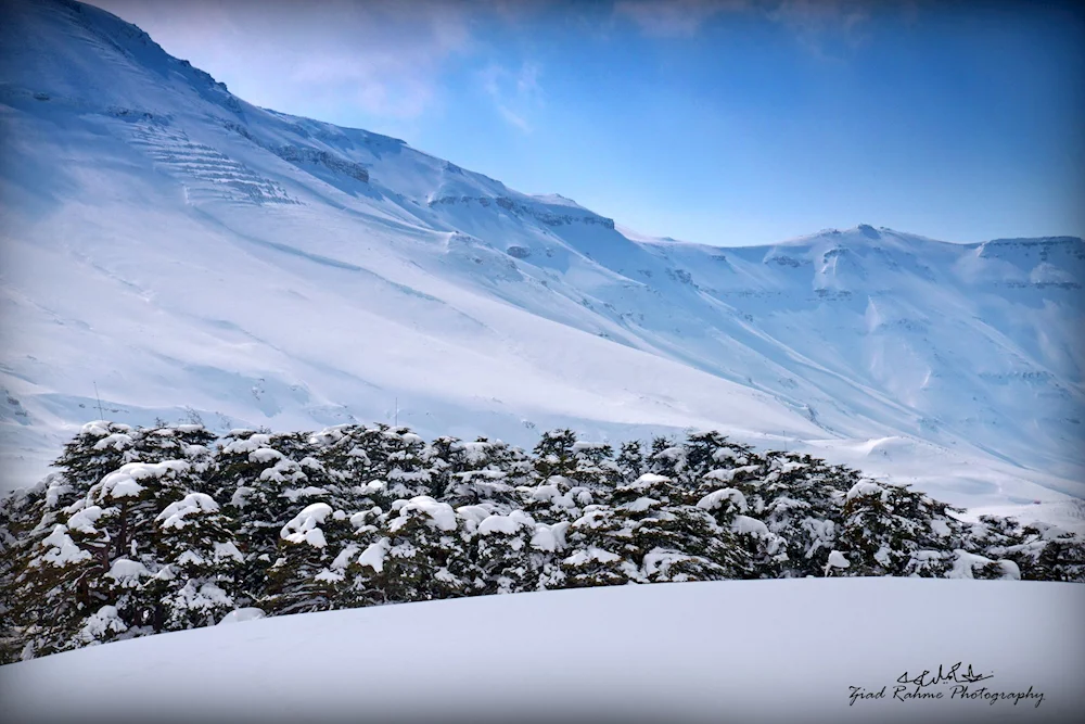قبل كلّ المحطات... الأرز موطن التزلج الأول في الشرق