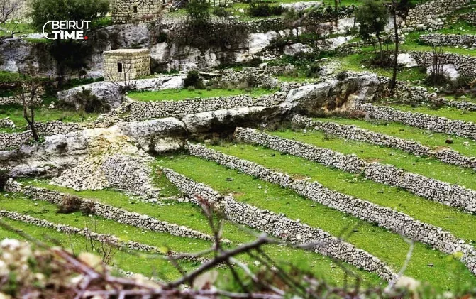إمشِ في طبيعة لبنان