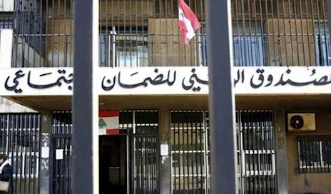 أجراء وهميون.. وشركات بلا نشاط تستنزف أموال الضمان الاجتماعي